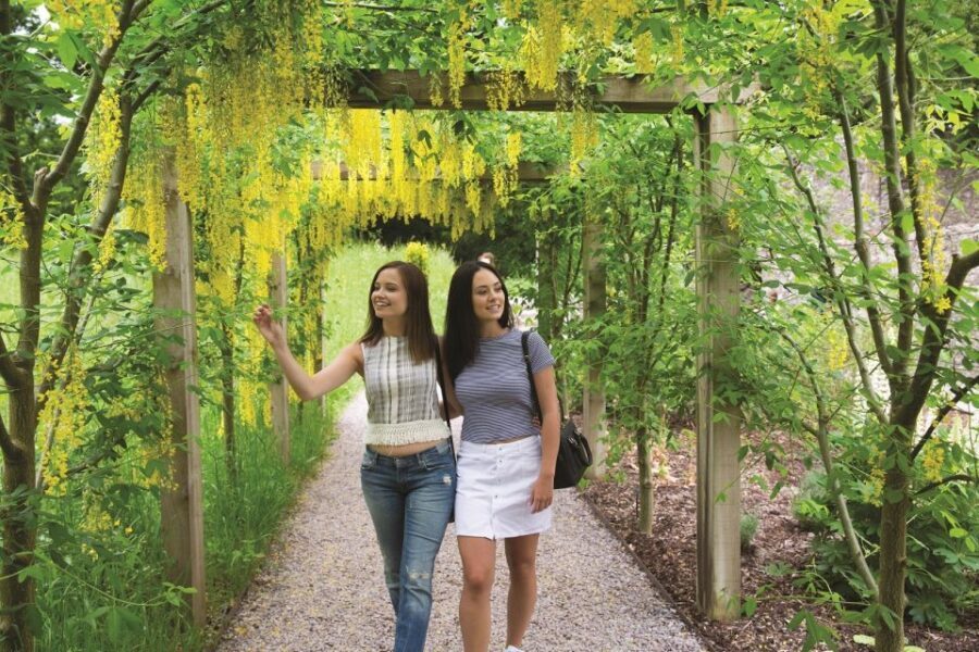6-Day Tour of Southern Ireland from Dublin - Key highlights to know before you go
