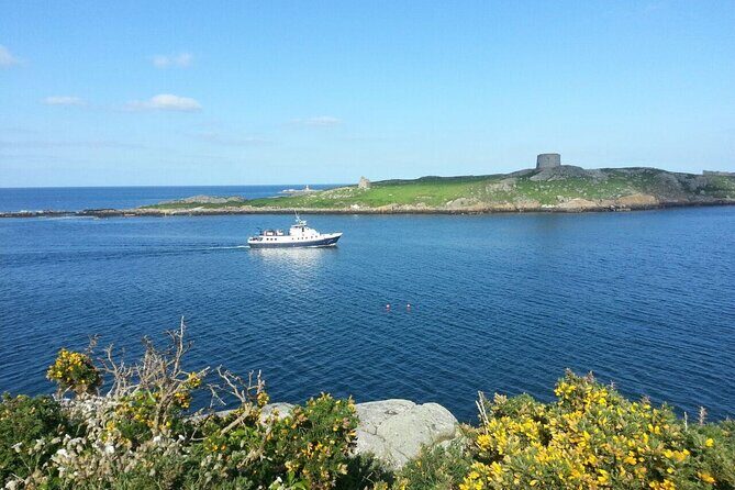Boat Trip from Dun Laoghaire to Howth - Howth Harbour Arrival and Seals: The Finish That’s Easy to Enjoy