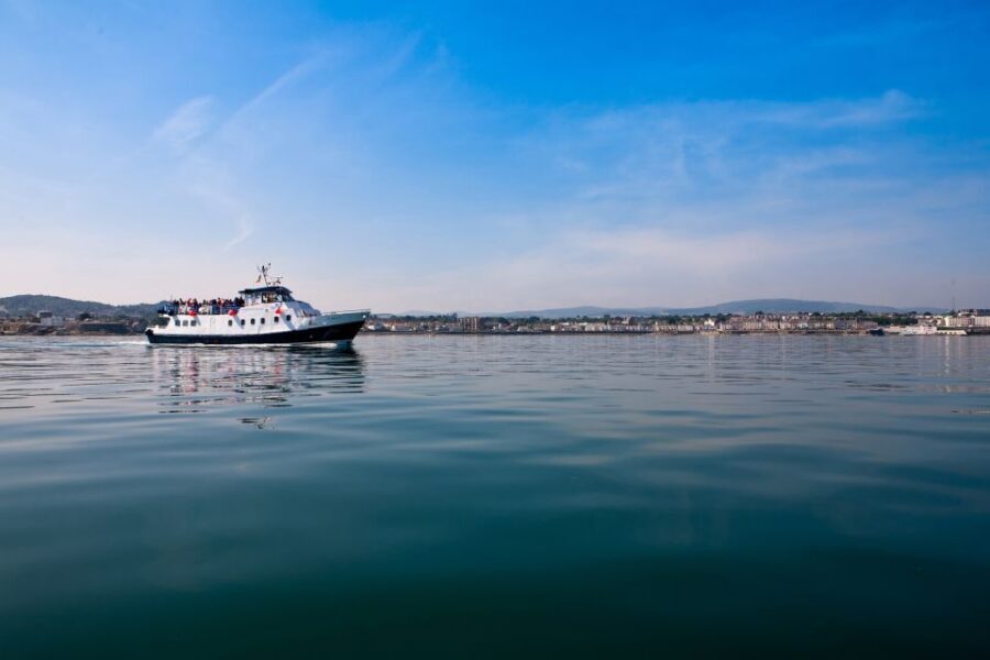 Dublin Bay: Cruise from the City Centre to Dun Laoghaire - Docklands and bay icons: East Link Bridge and Poolbeg Lighthouse views