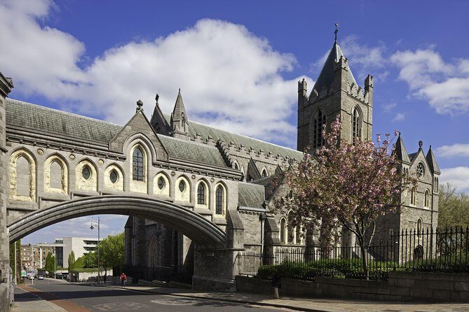 Dublin Christ Church Cathedral Admission Ticket - Treasures, Oddities, and the Audio Guide Advantage (Bring Earphones)