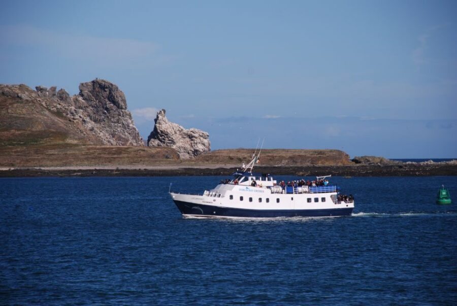 Dublin: Dublin Bay Cruise from Howth to Dun Laoghaire - Key highlights to know before you go