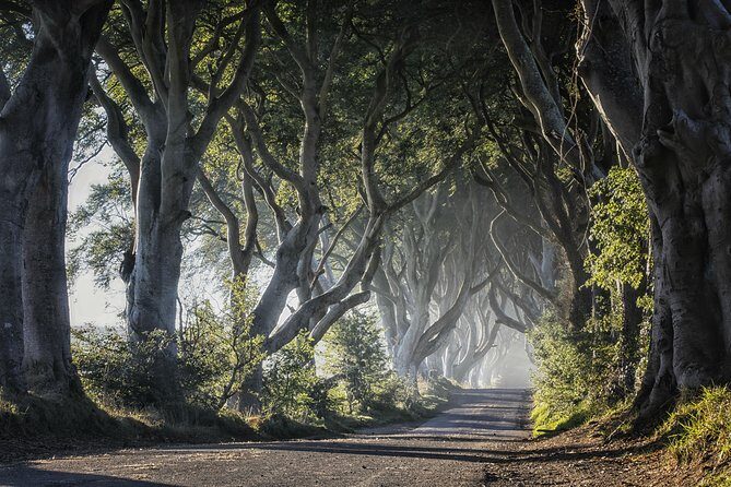 Dublin: Giant's Causeway, Dark Hedges, Dunluce and Belfast Titanic entrance fee - Titanic Belfast: Where the Included Ticket Really Earns Its Keep