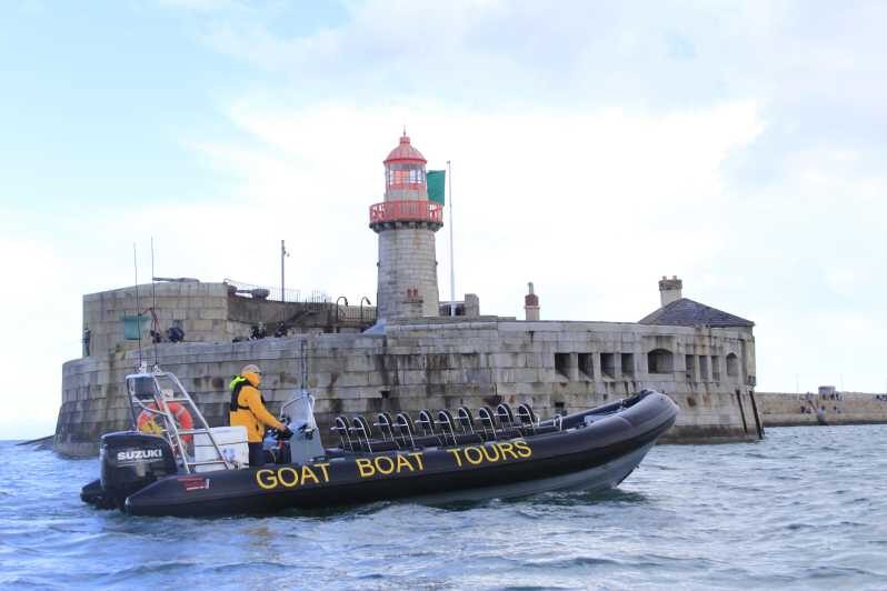 Dublin: History and Wildlife Boat Tour with Live Commentary - Billy Goat on Dublin Bay: Speed, Water Sounds, and the Live Guide