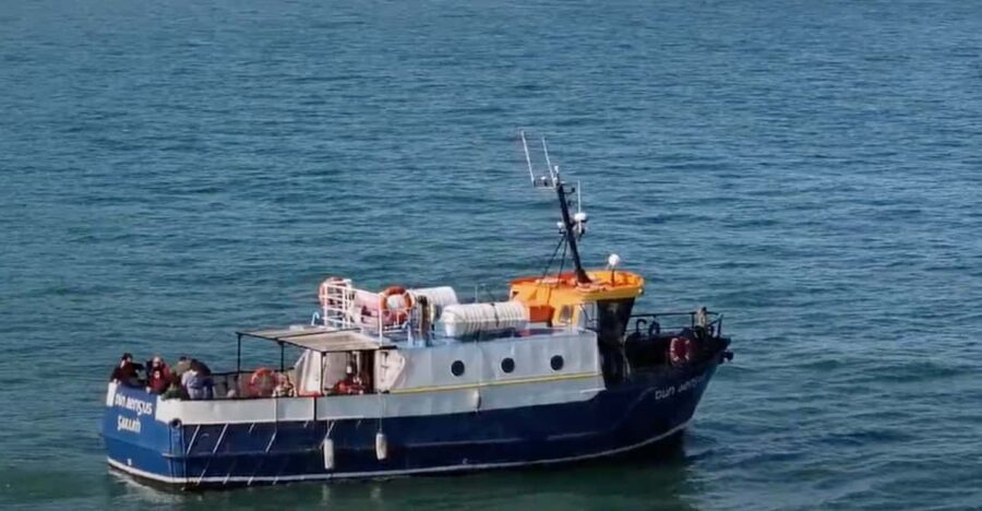 Dublin: Howth Cliffs and Lighthouse Boat Tour - Getting to the boat: the West Pier meet-up that’s easy to find