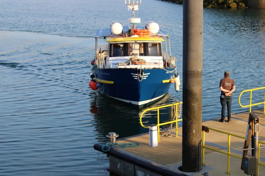 Dublin: Howth Cliffs and Lighthouse Boat Tour - The 45–50 minute cruise: what you actually do on the water
