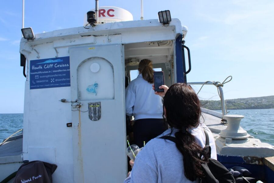 Dublin: Howth Cliffs and Lighthouse Boat Tour - Price and value: is $28 worth a 45-minute cliff cruise?
