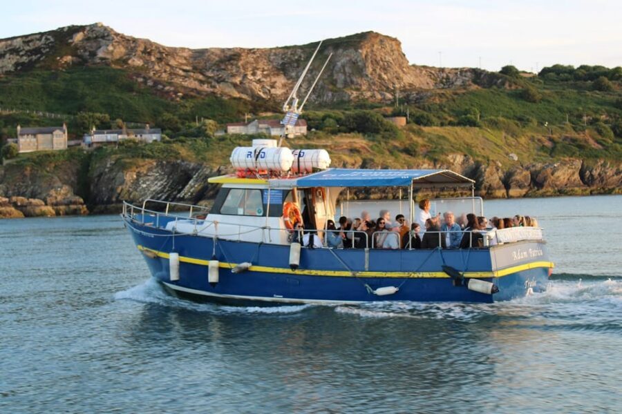 Dublin: Howth Cliffs and Lighthouse Boat Tour - Who should book this Howth cliffs boat tour?