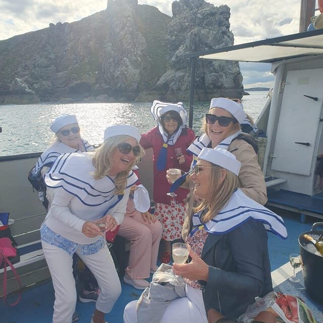 Dublin: Howth Cliffs and Lighthouse Boat Tour - Howth cliffs from the sea: your best views come with wildlife luck