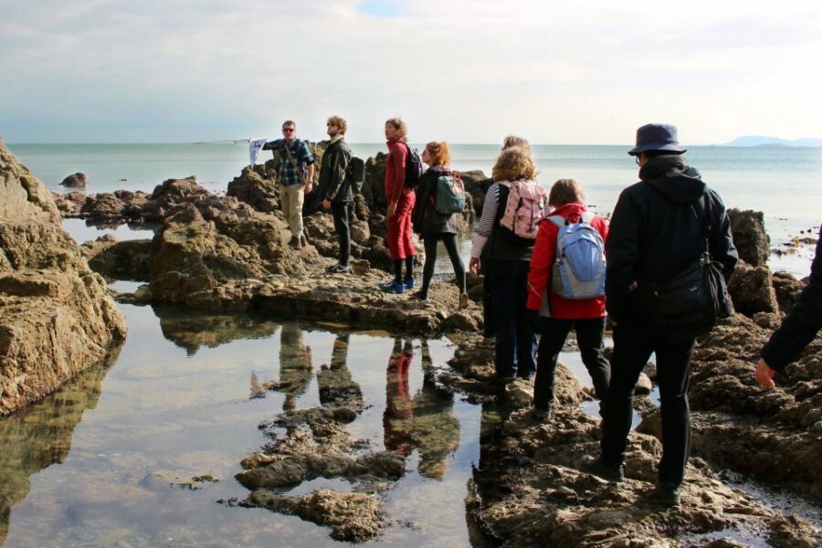 Dublin: Howth Safari Hiking Tour - What to bring and how to dress for real coastal weather