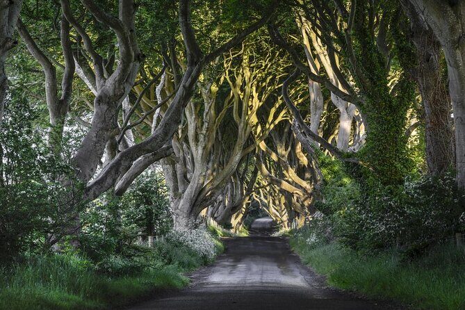 Dublin to Dunluce Castle, Giant's Causeway, Dark Hedges & Belfast - Key takeaways before you go