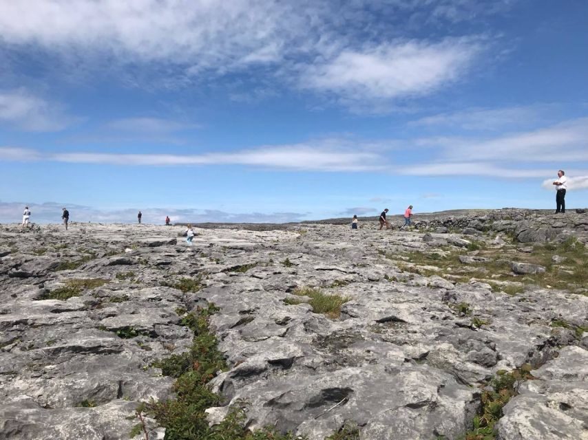 From Dublin: 4-Day Southern and Western Coast Tour - Should You Book From Dublin: Southern and Western Coast Tour?