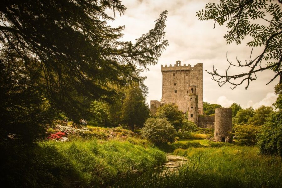 From Dublin: 5-Day Tour to the Southwest with Accommodation - Key things that make this tour work