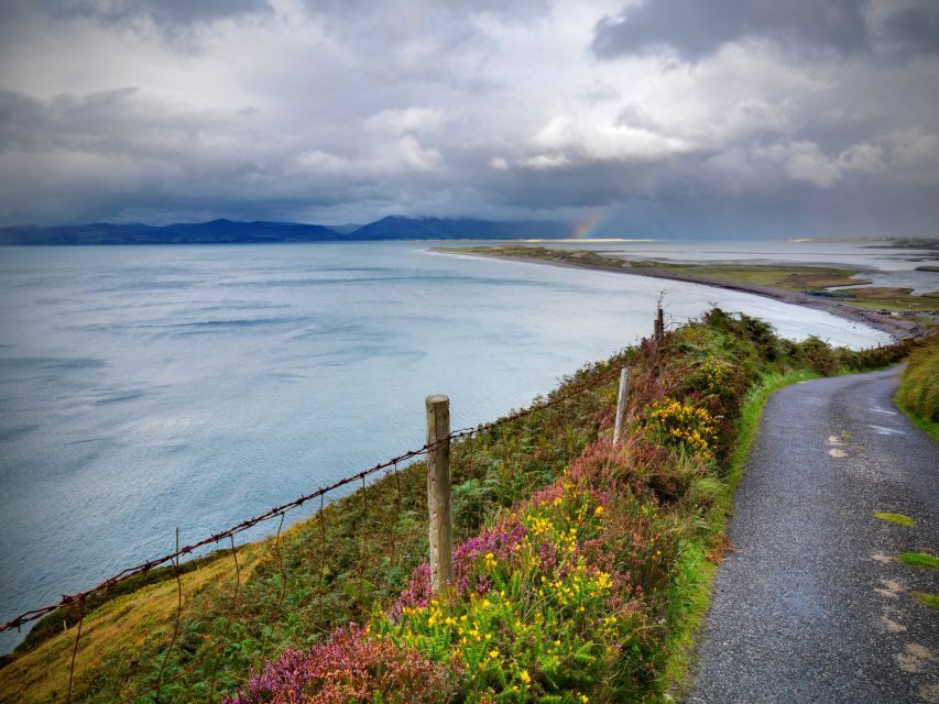 From Dublin: 6-Day All of Ireland Rail Tour - Day 3: Transfer toward Limerick, Bunratty Castle, Cliffs of Moher, then Galway City