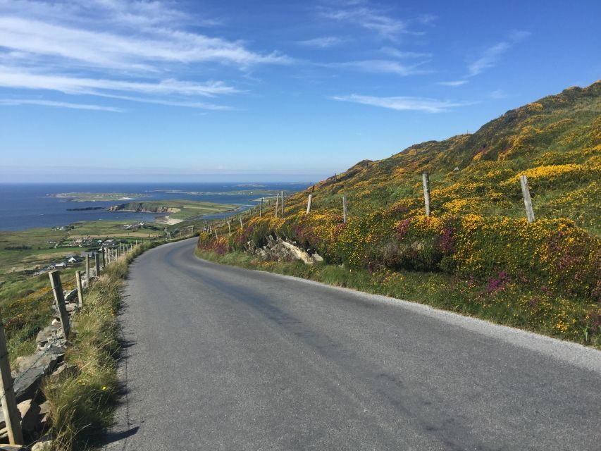 From Dublin: Connemara and Galway Bay Day Tour - From Heuston to Connemara: How the Day Really Flows