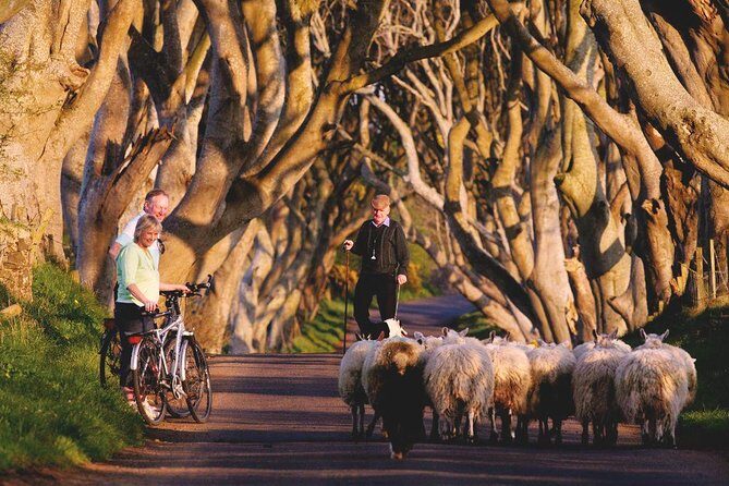 Giant's Causeway Day Tour from Dublin - Dunluce Castle: 60 minutes of cliff drama and a haunting story