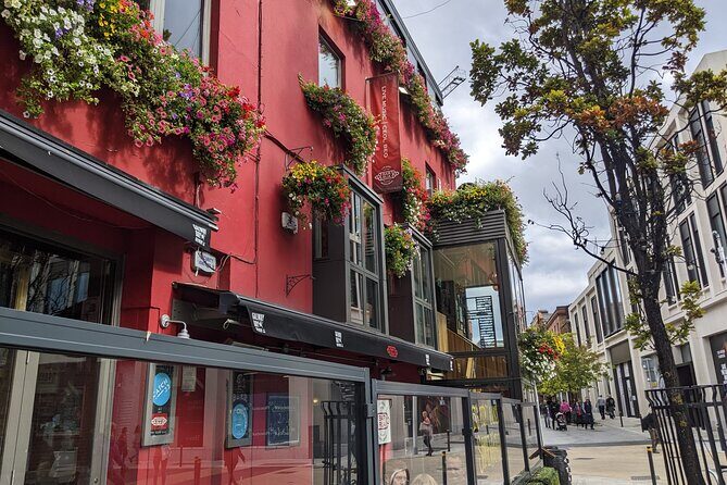 Private Guided Tour of Dublin in French - Temple Bar: The Pub Concentration District with Music and Culture Feel