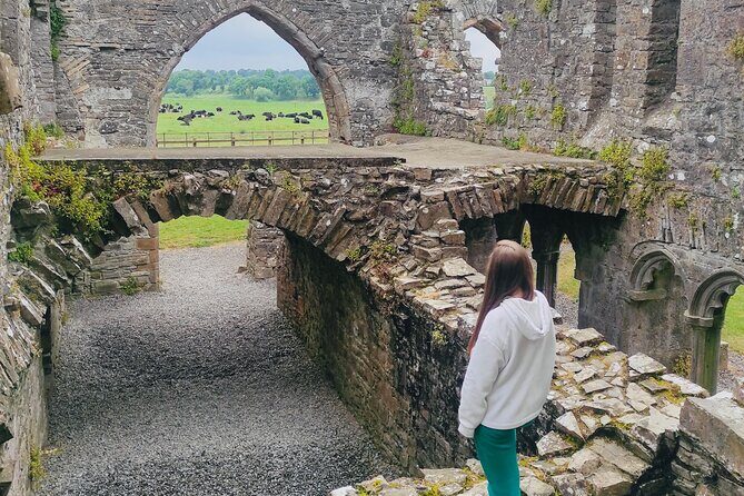 Private Tour from Dublin: Hill of Tara Trim Castle, Celtic sites - A Dublin private tour that strings together Celtic, Norman, and monk-era Ireland