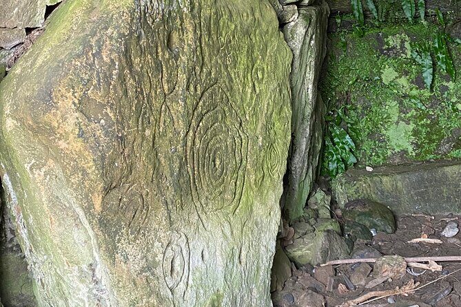 Private Tour from Dublin: Hill of Tara Trim Castle, Celtic sites - Bective Abbey ruins picnic: mystery corridors, Braveheart scenes, and a good break