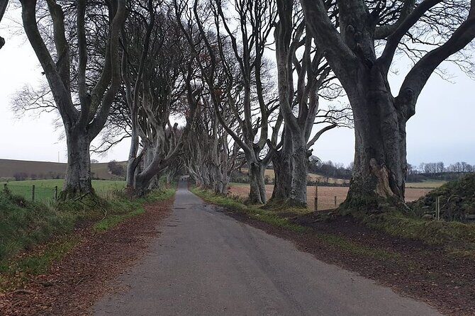 The Giant's Causeway, Dunluce Castel and Belfast - Spanish guide - Titanic Exhibition and Game of Thrones connections (what you’ll get without the guesswork)