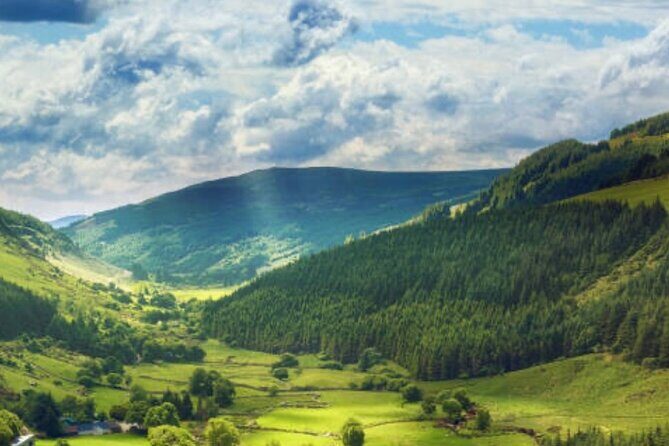 Wicklow and Glendalough Private Chauffeured Sightseeing Tour - Stop 2: Powerscourt Waterfall at 121m, plus the estate tree show